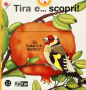 Copertina libro Tira e ... scopri