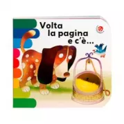 Copertina libro Filippo Brunello libri