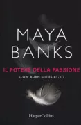 Copertina libro 9788869052491