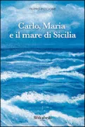 Copertina libro 9788869340215