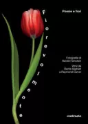 Copertina libro Raymond Carver libri
