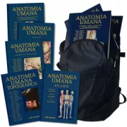 Copertina libro <b>3: Sistema nervoso centrale, organi di senso, sistema nervoso periferico</b>