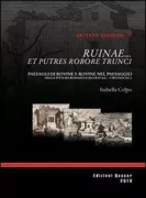 Copertina libro <b>Ruinae ... et putres robore trunci</b>