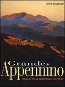 Copertina libro <b>Grande Appennino</b>