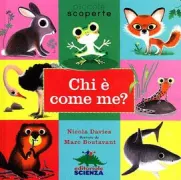 Copertina libro <b>Chi è come me?<br></b>(titolo originale o altro titolo: <i>Who's like me?</i>)