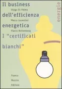 Copertina libro <b>Il business dell'efficienza energetica</b>