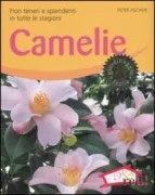 Copertina libro 9788874475162