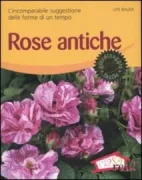 Copertina libro <b>Rose antiche<br></b>(titolo originale o altro titolo: <i>Alte Rosen</i>)