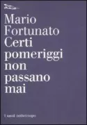 Copertina libro <b>Certi pomeriggi non passano mai</b>