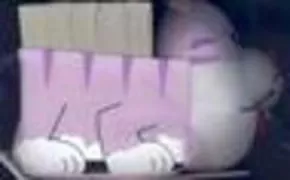 Copertina libro <b>Micio Lina</b>