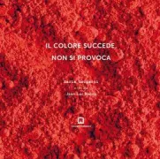 Copertina libro <b>Il colore succede, non si provoca</b>
