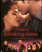 Copertina libro <b>The Twilight saga</b>