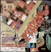 Copertina libro <b>Mostrare il progetto</b>