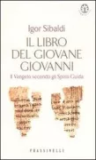 Copertina libro <b>Il codice segreto del Vangelo</b>