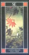 Copertina libro <b>Atala René</b>