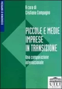 Copertina libro <b>Piccole e medie imprese in transizione</b>