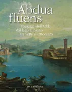 Copertina libro <b>Abdua fluens</b>