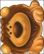Copertina libro 9788879069861