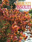 Copertina libro <b>Arbusti insoliti</b>