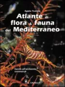 Copertina libro <b>Atlante di flora & fauna del Mediterraneo</b>