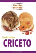 Copertina libro 9788880396956