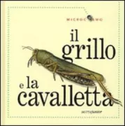 Copertina libro <b>Grillo e cavalletta<br></b>(titolo originale o altro titolo: <i>Grasshopper</i>)