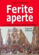 Copertina libro <b>Ferite aperte</b>