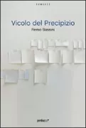 Copertina libro <b>Vicolo del precipizio</b>