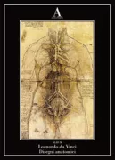 Copertina libro <b>Disegni anatomici</b>