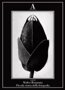 Copertina libro <b>Piccola storia della fotografia<br></b>(titolo originale o altro titolo: <i>Kleine Geschichte der Photographie</i>)