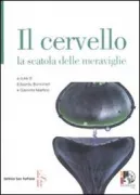 Copertina libro <b>Il cervello</b>