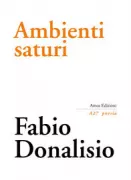 Copertina libro <b>Ambienti saturi</b>
