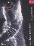 Copertina libro <b>Il rumore del cuore Il gatto nero</b>