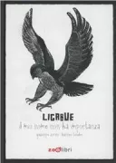 Copertina libro <b>Ligabue</b>