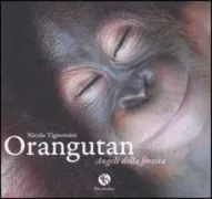 Copertina libro <b>Orangutan</b>