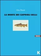 Copertina libro 9788889767375