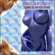 Copertina libro <b>Tagliata da un vetro di sole</b>
