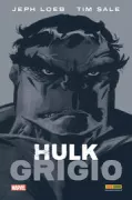 Copertina libro <b>Hulk</b>