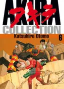Copertina libro <b>Akira collection</b>