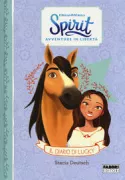 Copertina libro <b>Spirit</b>