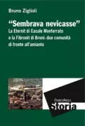 Copertina libro <b>Sembrava nevicasse</b>