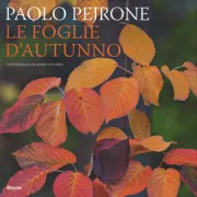 Copertina libro <b>Le foglie d'autunno</b>