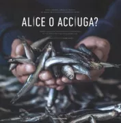 Copertina libro <b>Alice o acciuga?</b>