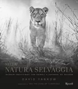 Copertina libro <b>Nella natura selvaggia<br></b>(titolo originale o altro titolo: <i>Wild encounters</i>)