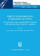 Copertina libro <b>Diritti fondamentali e processo all'ente</b>