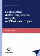 Copertina libro <b>La disciplina dell'immigrazione irregolare nell'Unione europea</b>