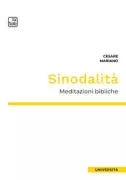 Copertina libro <b>Sinodalità</b>