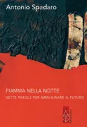 Copertina libro <b>Fiamma nella notte</b>