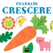 Copertina libro 9788893095747