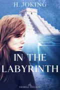 Copertina libro IN THE LABYRINTH